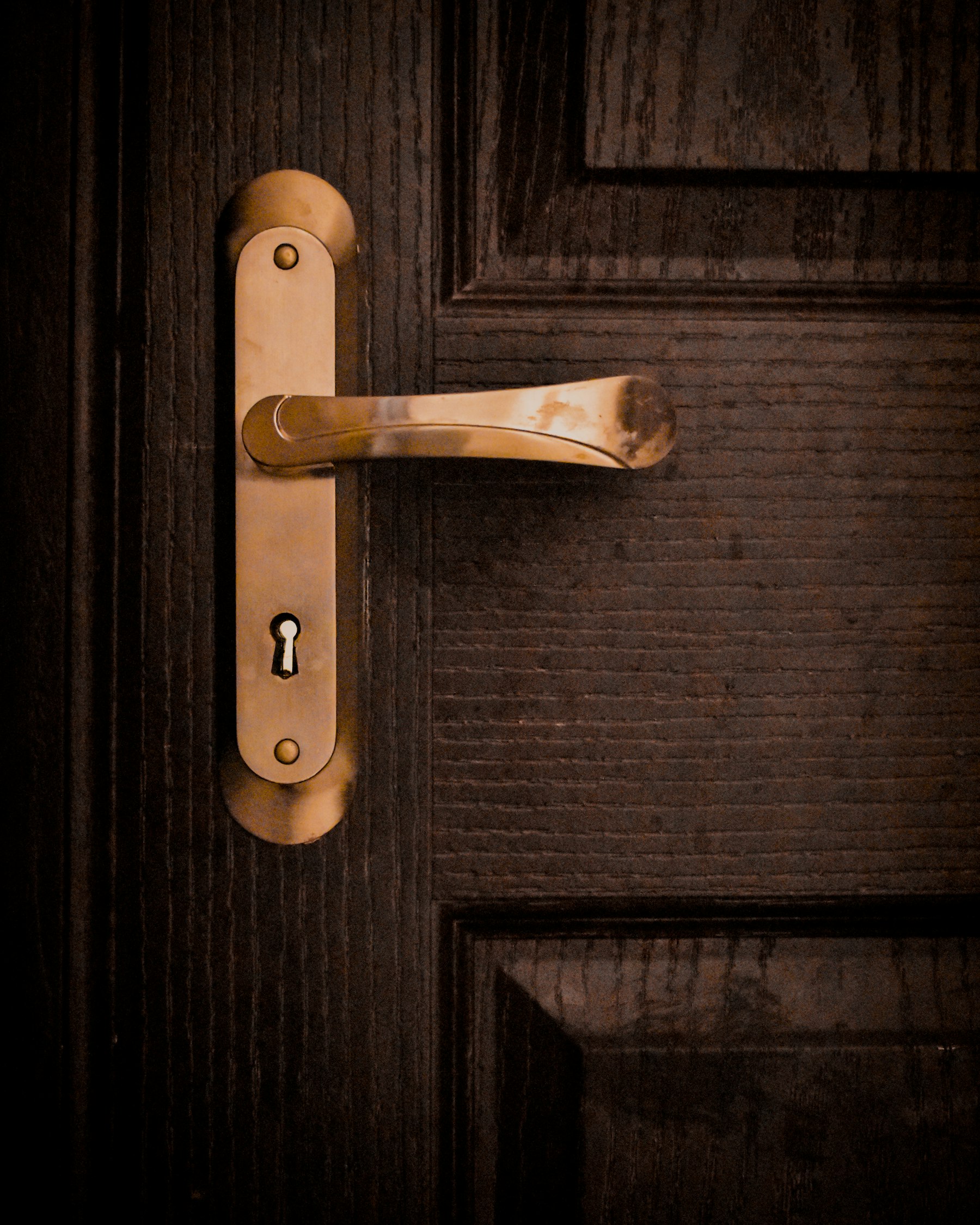 A gold door lever on a wooden door